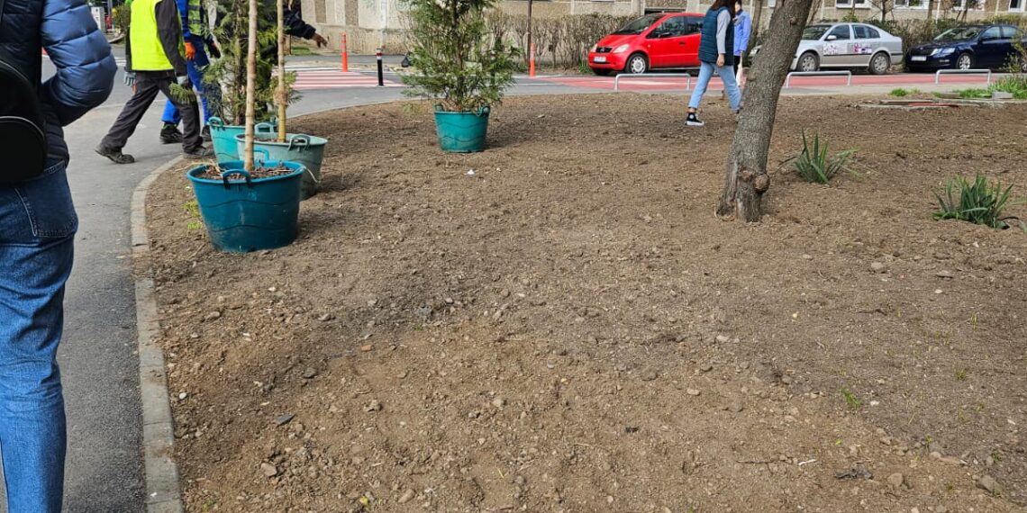 Plantele din Pepinieră, plantate în 4 locații din Timișoara