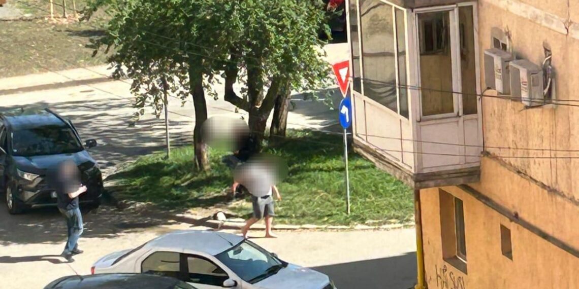 A fost nevoie de intervenția jandarmilor, la Timișoara, pentru potolirea a trei scandalagii