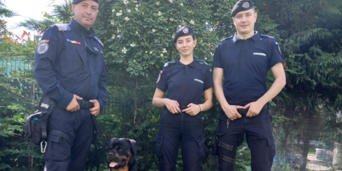 Jandarmii timișoreni vă așteaptă „la ei acasă”. Când are loc Ziua Porților Deschise