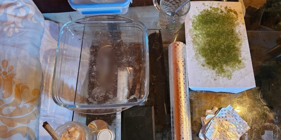 Percheziții la traficanți de droguri, în Timiș