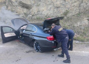 O altfel de misiune pentru trei polițiști de frontieră. Profesionalism și omenie