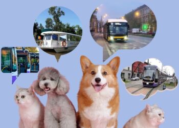 În ce condiții pot transporta călătorii animale de companie pe rutele STPT