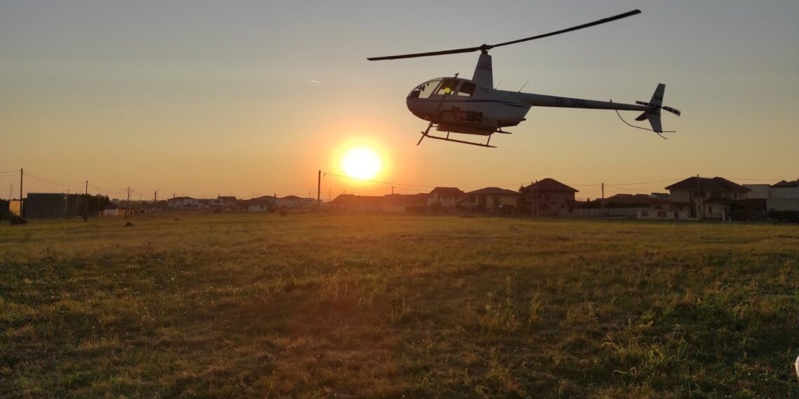 S-a stropit împotriva căpușelor în mai multe locuri din Timișoara