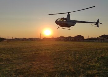 S-a stropit împotriva căpușelor în mai multe locuri din Timișoara