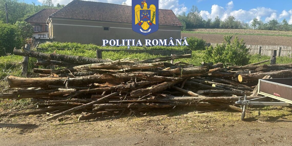 Razie a polițiștilor arădeni la Lipova/Video