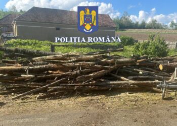 Razie a polițiștilor arădeni la Lipova/Video