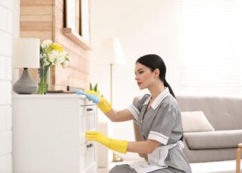 Nou pe piața muncii: persoanele fizice pot angaja și plăti legal personal pentru activitățile casnice