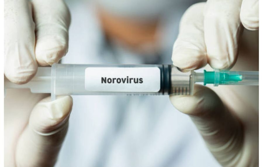 Elevii şi profesorii de la Liceul Loga care au ajuns la spital cu simptome grave de infecție, au ieşit pozitivi la norovirus