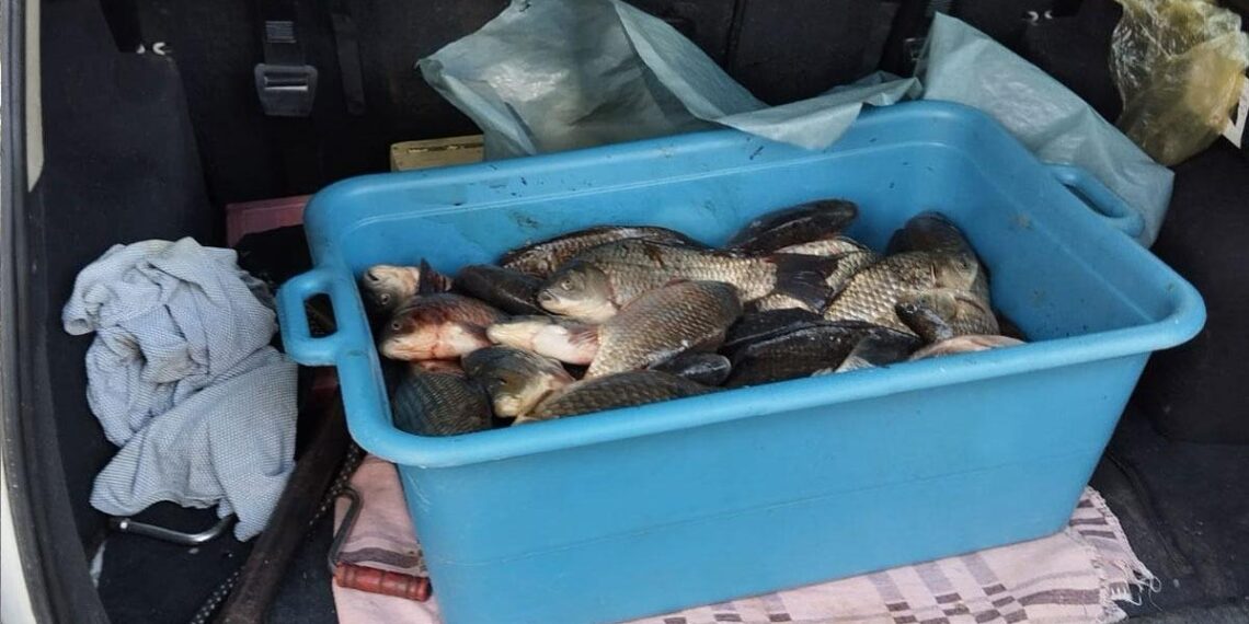 Braconier prins cu zeci de kilograme de pește la Răcășdia