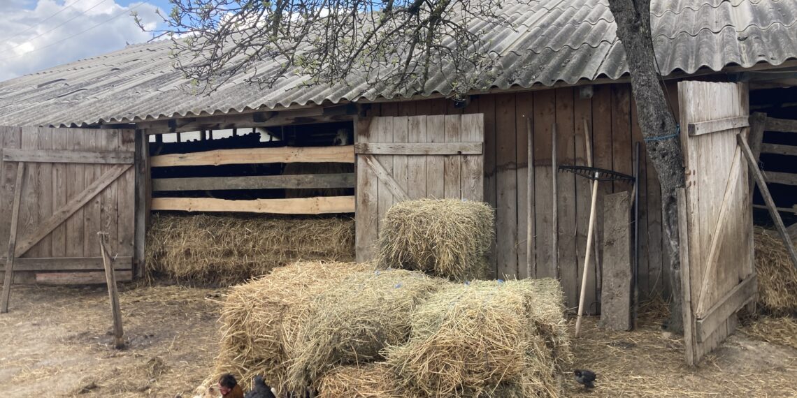 Comuna Margina pune două Puncte Gastronomice Locale pe harta județului Timiș