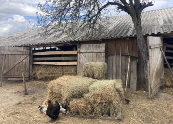 Comuna Margina pune două Puncte Gastronomice Locale pe harta județului Timiș