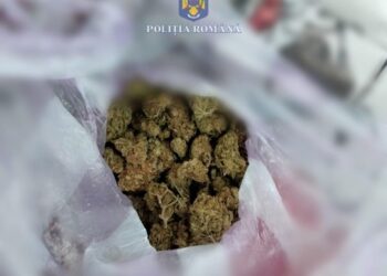 Reținut pentru deținere de droguri și conducerea sub influența băuturilor alcoolice și a unor substanțe interzise
