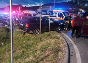 Accident la Cărpiniș. O femeie a ajuns la spital