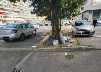 Acțiune amplă desfășurată de polițiștii locali în zona Gării de Nord. Nereguli depistate