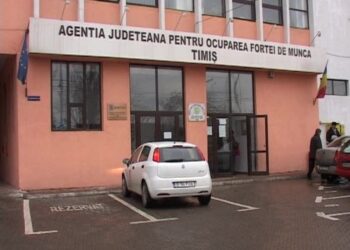 Informații utile absolvenților promoției 2024 oferite de AJOFM Timiș