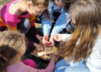 Elevii Centrului Școlar pentru Educație Incluzivă „Dumitru Ciumăgeanu” beneficiază de un proiect important