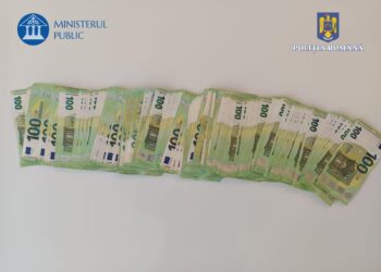Femeie din Timiș arestată pentru o investiție fictivă în valoare de 16.000 de euro