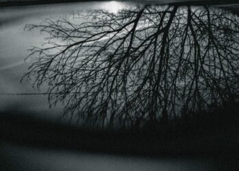 Drumul unui tânăr către premiul Concursului internațional The Water We Want 2024, deschis de Aquatim