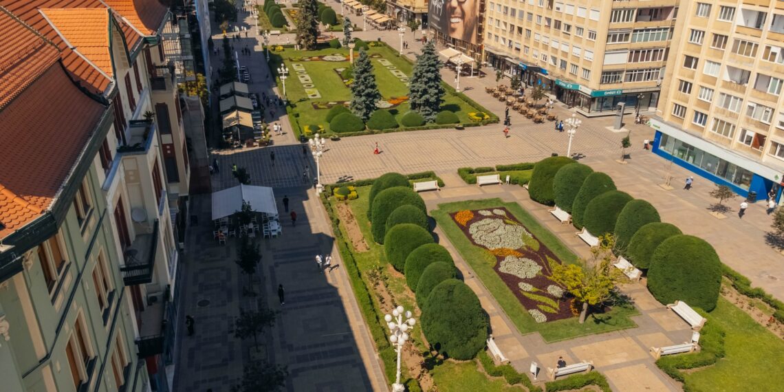 Covorul floral din Piața Victoriei e inspirat de bujor. Peste 230.000 de plante în Timișoara