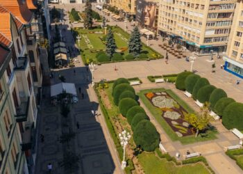 Covorul floral din Piața Victoriei e inspirat de bujor. Peste 230.000 de plante în Timișoara