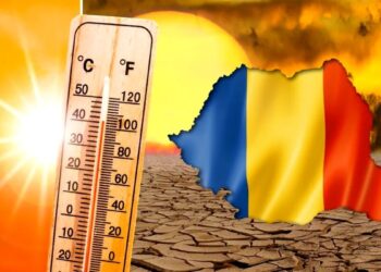 ITM Timiș face verificări pentru respectarea legislației în zilele cu temperaturi  ridicate