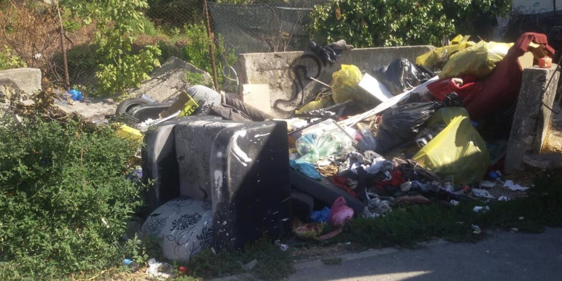 10 panouri de conștientizare vor fi amplasate în Timișoara pentru a-i împiedica pe oameni să mai arunce deșeuri