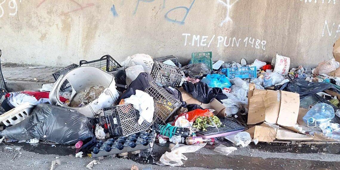 Amenzi uriașe pentru nesimțiții care au aruncat deșeuri pe străzile Timișoarei/Video