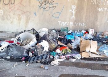 Amenzi uriașe pentru nesimțiții care au aruncat deșeuri pe străzile Timișoarei/Video