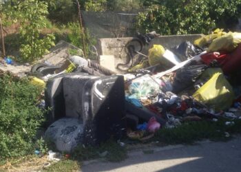 10 panouri de conștientizare vor fi amplasate în Timișoara pentru a-i împiedica pe oameni să mai arunce deșeuri