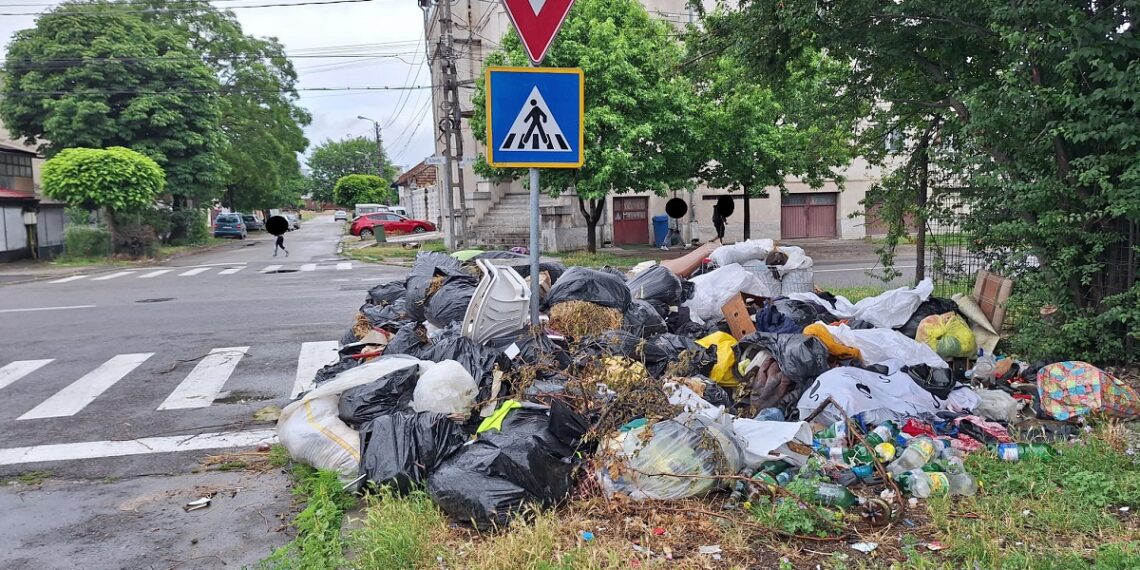 Zona Gara de Sud – Eternității din Timișoara, transformată în deponeu ilegal de deșeuri. Câte amenzi au dat polițiștii locali/Foto