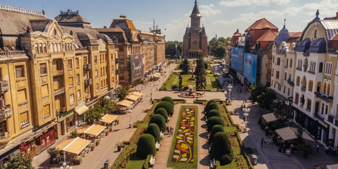 Covorul floral din Piața Victoriei e inspirat de bujor. Peste 230.000 de plante în Timișoara