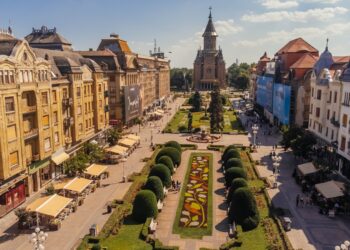 Covorul floral din Piața Victoriei e inspirat de bujor. Peste 230.000 de plante în Timișoara