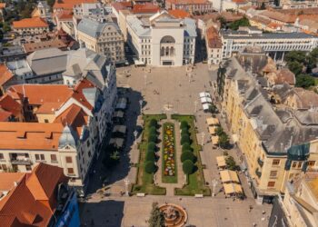 Covorul floral din Piața Victoriei e inspirat de bujor. Peste 230.000 de plante în Timișoara