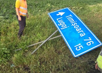 Vijelia de luni a făcut pagube în Timiș