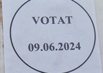 Incidente electorale în Timiș