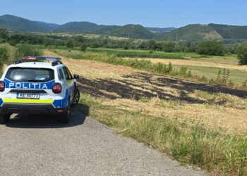 Prins și ars la buzunar, când se pregătea să incendieze miriștea