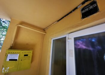 Un bărbat care colecta resturi și le abandona pe câmp, sancționat drastic de polițiștii locali din Timișoara