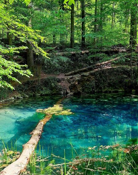 Drumul care duce la Cheile Nerei, reabilitat cu bani europeni