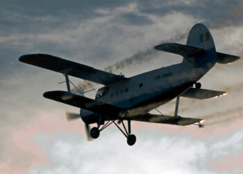 Atac aerian la Sânandrei! Țânțarii… au încurcat-o