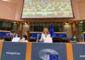 Eurodeputatul Maria Grapini, reales în funcția de vicepreședinte al Comisiei pentru Piață Internă și Protecția Consumatorilor
