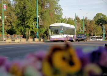 Călătorii din Timișoara vor circula cu autobuze noi