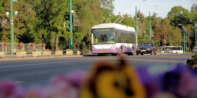 Călătorii din Timișoara vor circula cu autobuze noi