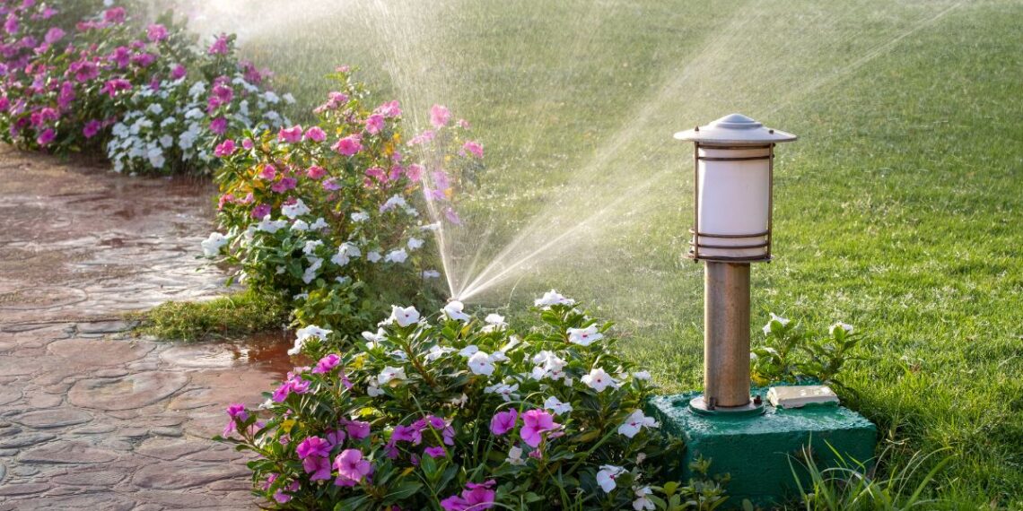 Aquatim avertizează consumatorii: Apa din rețea nu este pentru udatul grădinilor!