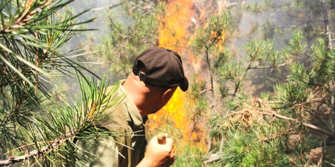 Creștere semnificativă a numărului de incendii în fondul forestier administrat de Romsilva în prima jumătate a anului