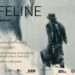 Expoziția „Lifeline” a artistului german Dieter Mammel își încheie parcursul la Timișoara