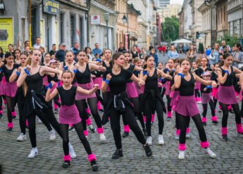 Încep înscrierile la Școala de Arte Timișoara