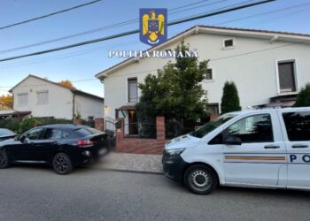 Mai multe persoane bănuite de înşelăciune cu consecinţe deosebit de grave