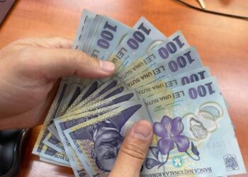 PNL Timiș promovează proiectul inițiat de TNL