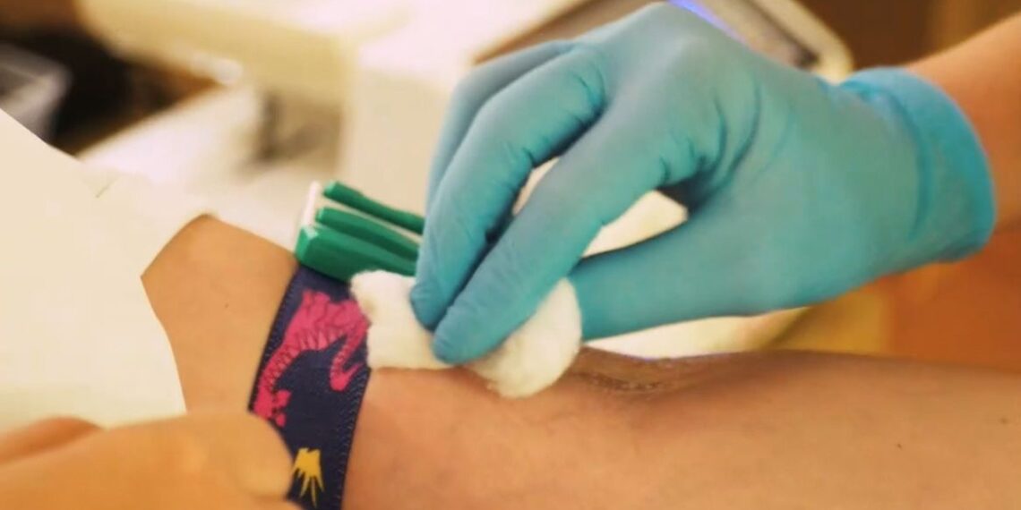 Între 21 și 23 august, donatorii de sânge primesc un abonament la CODRU Festival