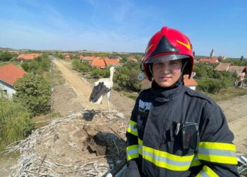 Minivacanță cu sute de apeluri pentru pompierii de la ISU Timiș